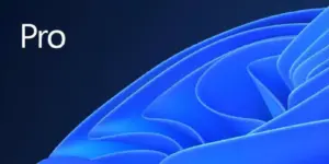 Licencia Windows 11 Profesional OEM